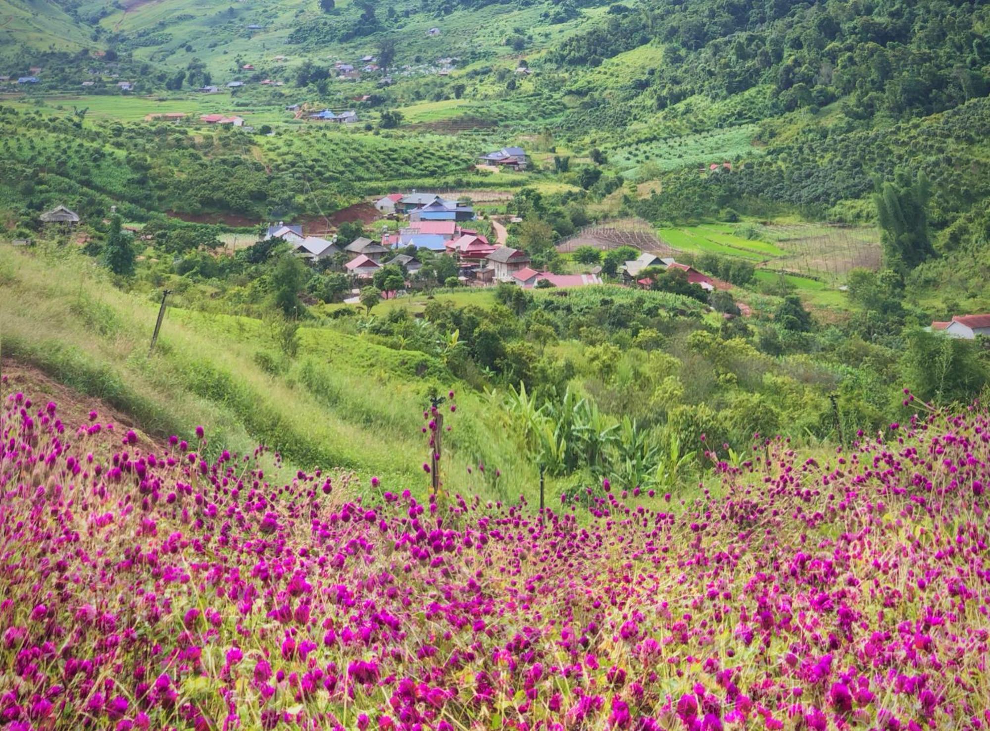 Muong Sang Farmstay Moc Chau Eksteriør bilde